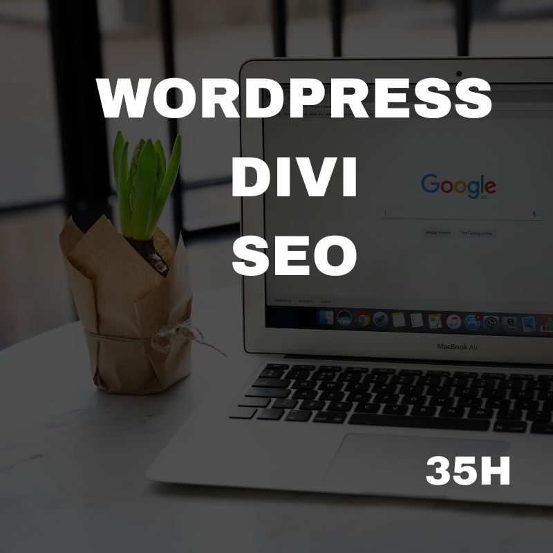 formation wordpress divi